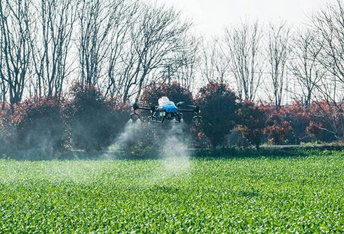Die Hingabe der Koreaner an landwirtschaftliche Drohnen